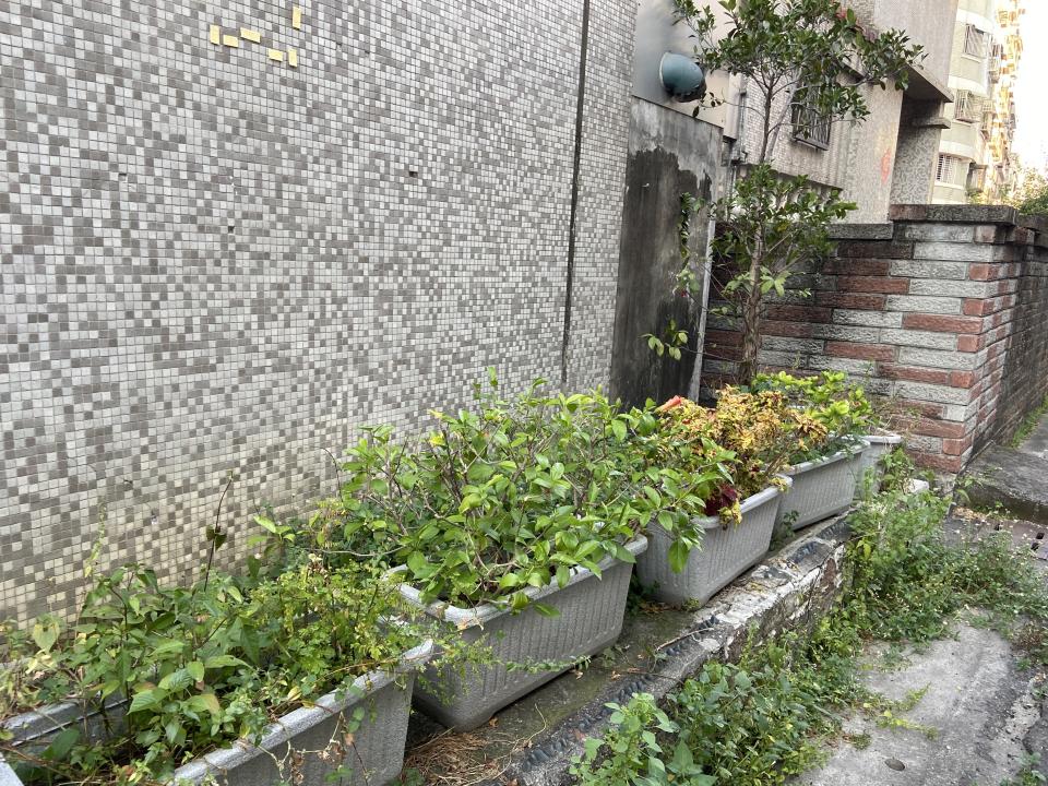 園藝維護案件圖片