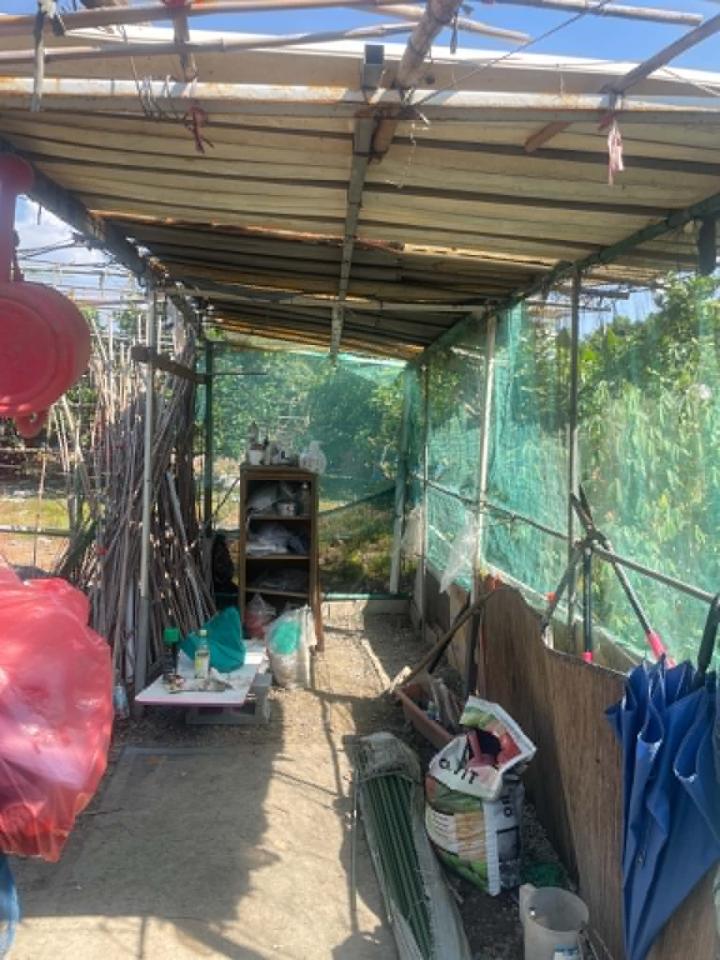 遮陽網工程案件圖片