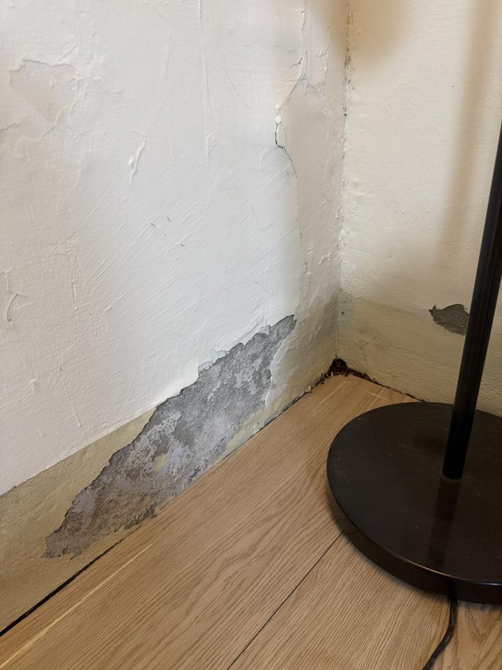 壁癌處理案件圖片