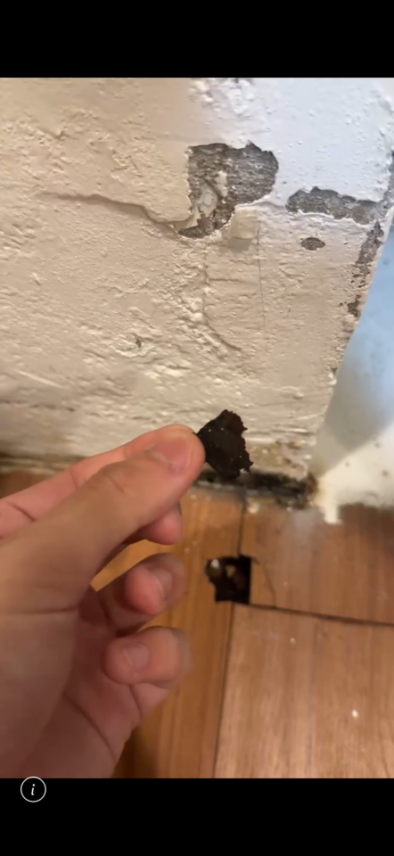 地板施工案件圖片