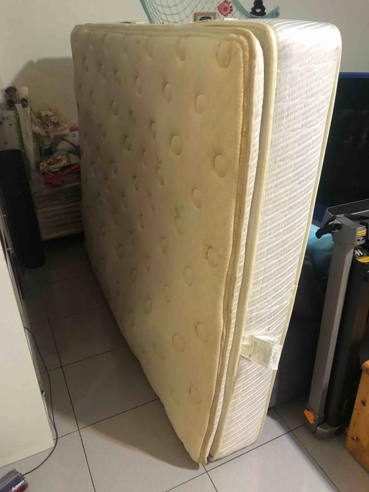 大型垃圾回收案件圖片