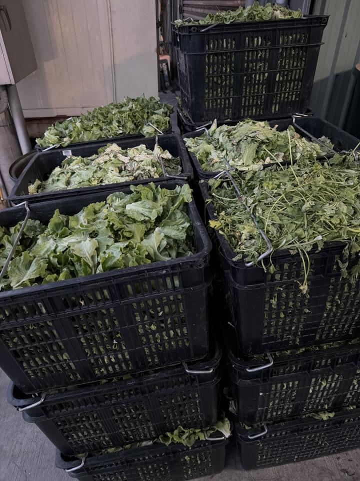 廚餘回收案件圖片