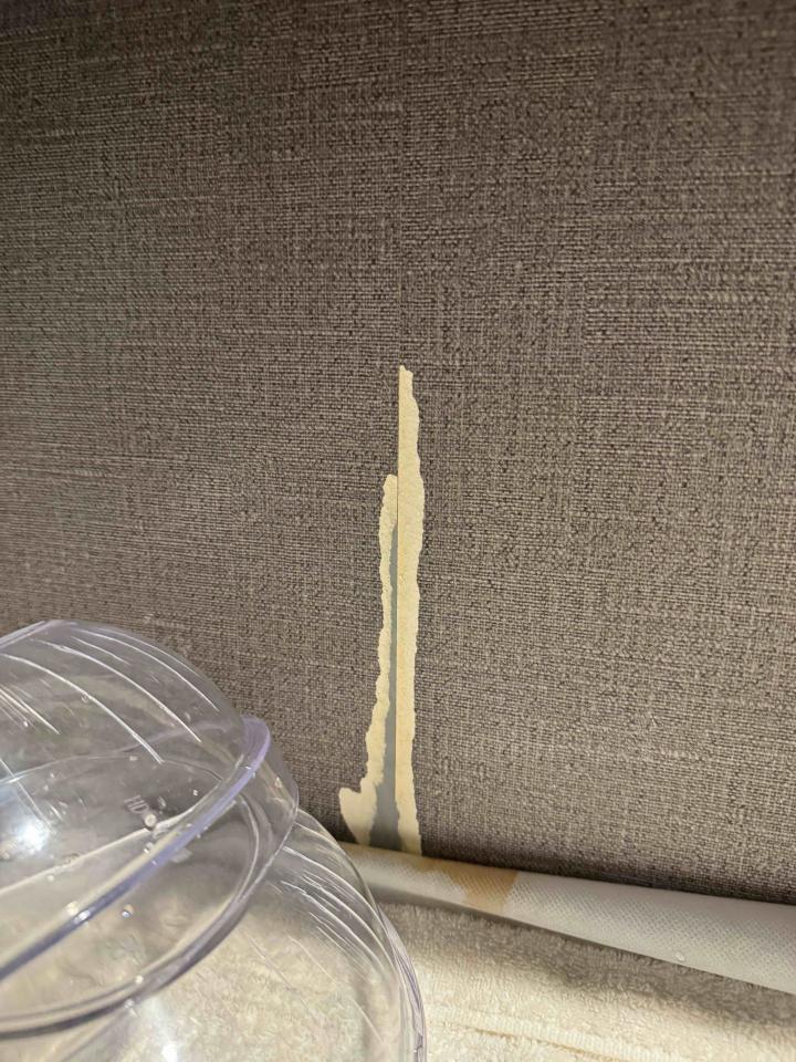 壁紙施工案件圖片