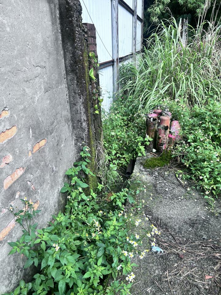 園藝維護案件圖片