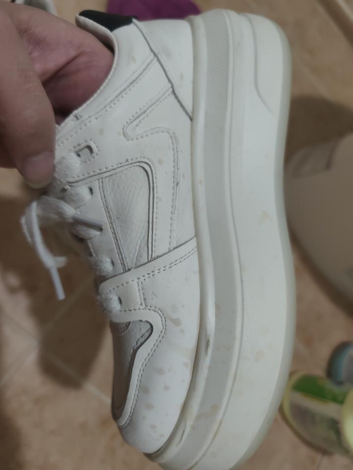 洗鞋案件圖片
