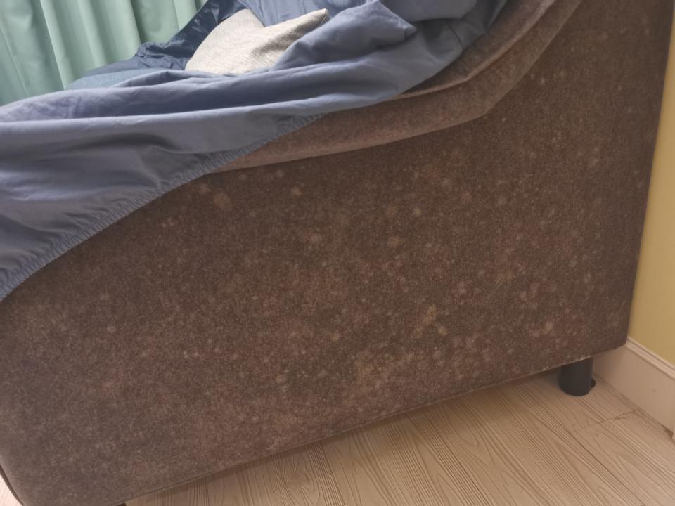 沙發清潔案件圖片