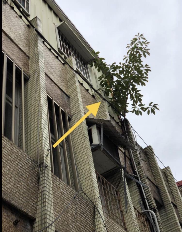 園藝維護案件圖片