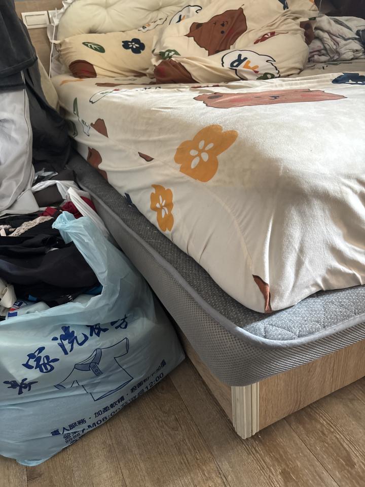 大型垃圾回收案件圖片