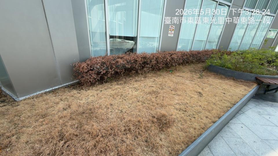 園藝維護案件圖片
