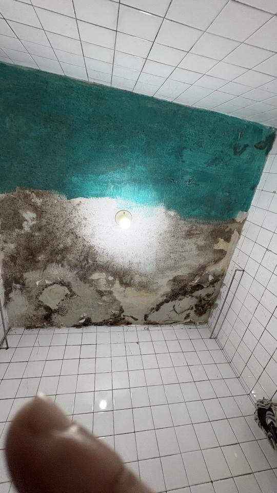 油漆工程案件圖片
