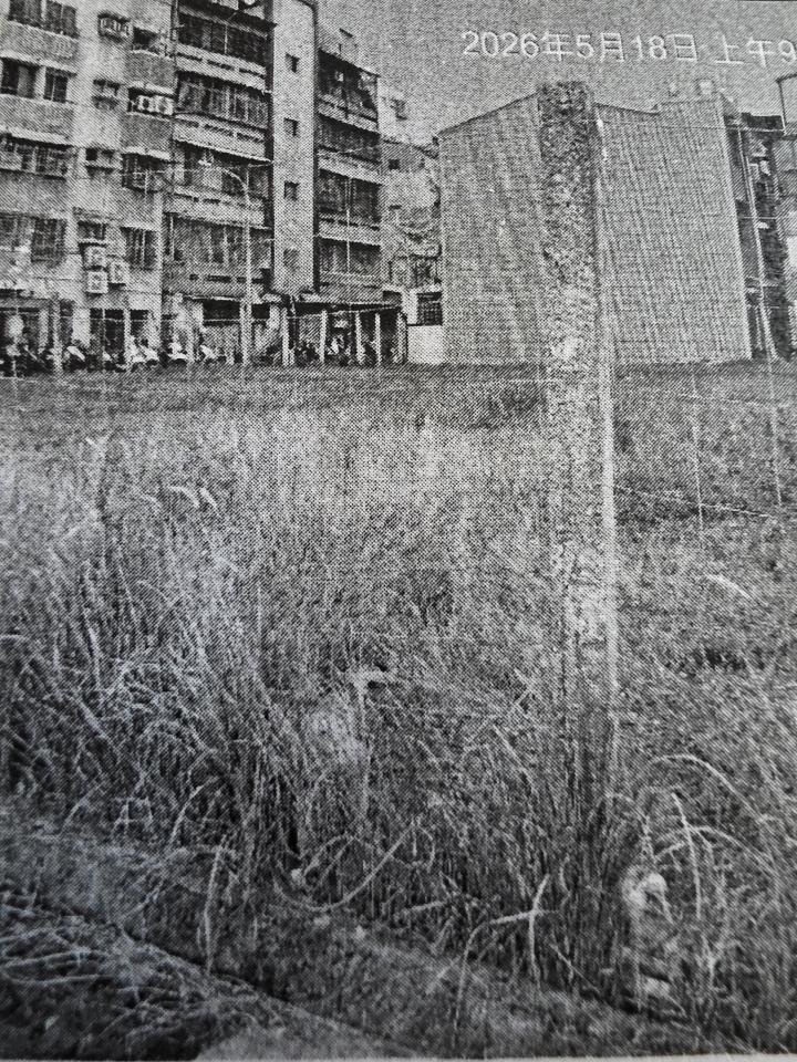 園藝維護案件圖片