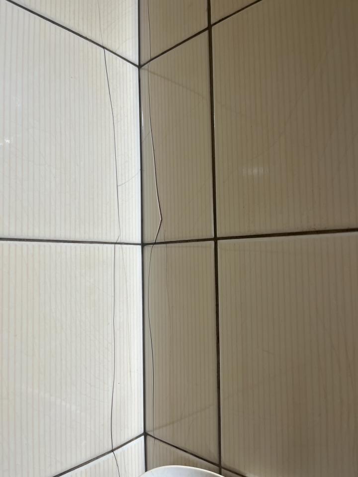磁磚修補案件圖片