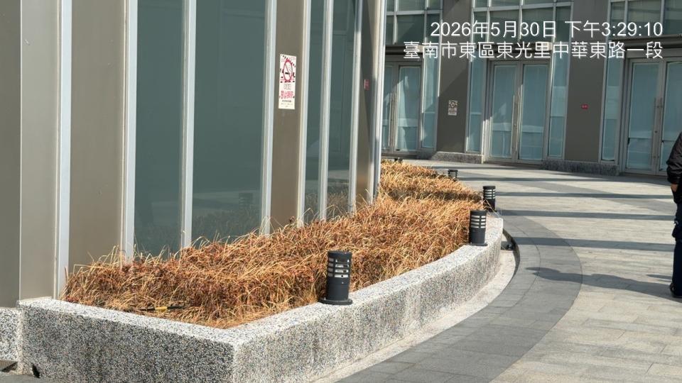 園藝維護案件圖片