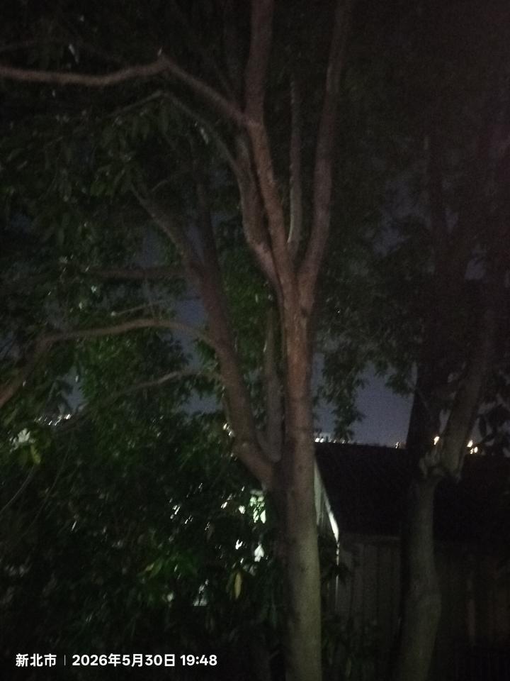 園藝維護案件圖片