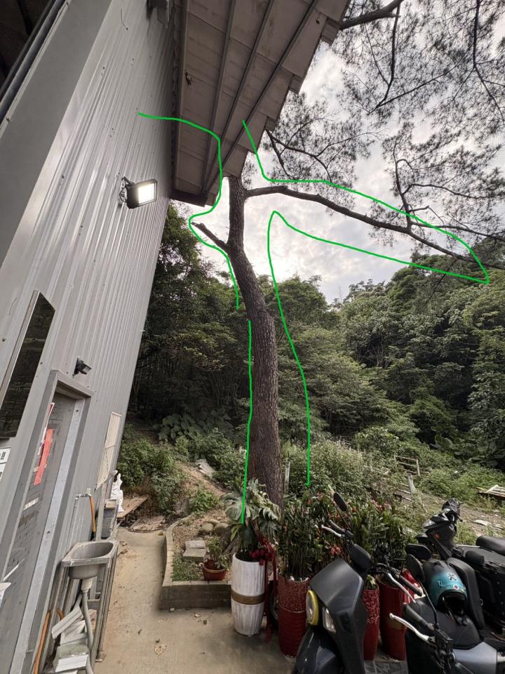 園藝維護案件圖片
