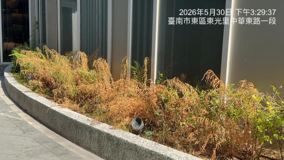 園藝維護案件圖片