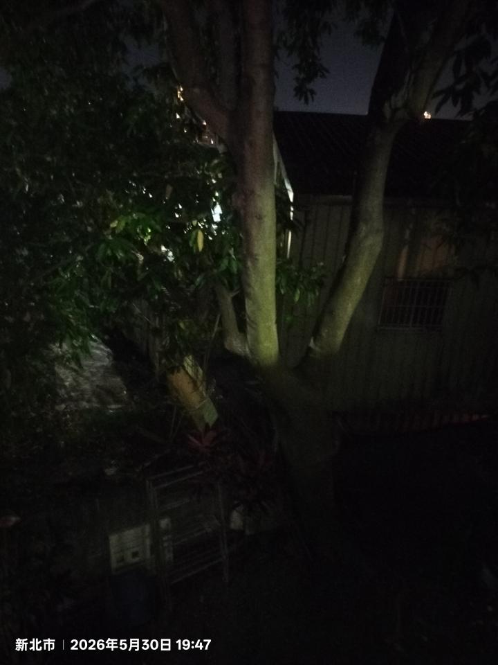 園藝維護案件圖片