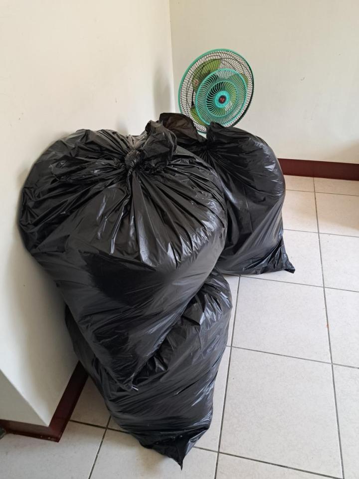 大型垃圾回收案件圖片