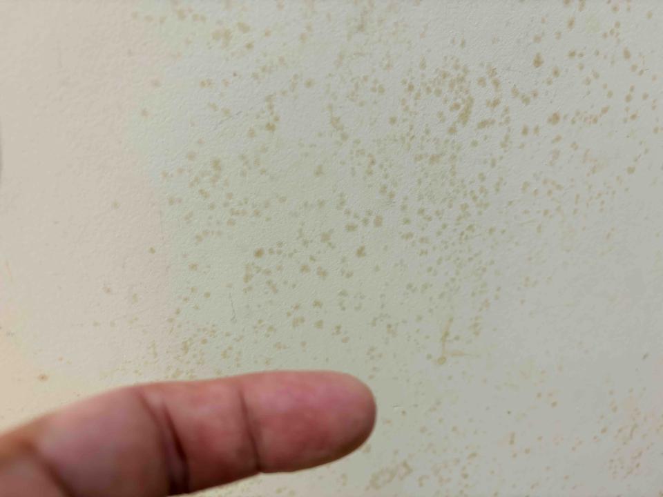 油漆工程案件圖片