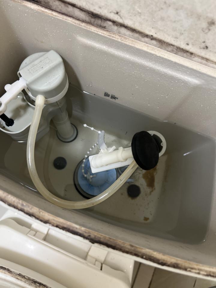 馬桶裝修案件圖片