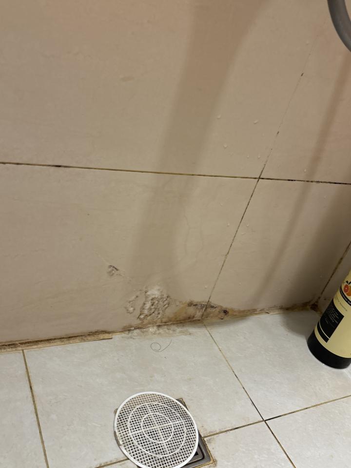 漏水處理案件圖片