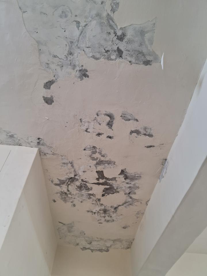 油漆工程案件圖片