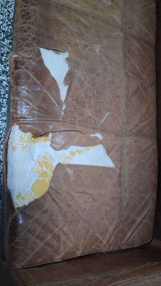 沙發修理案件圖片