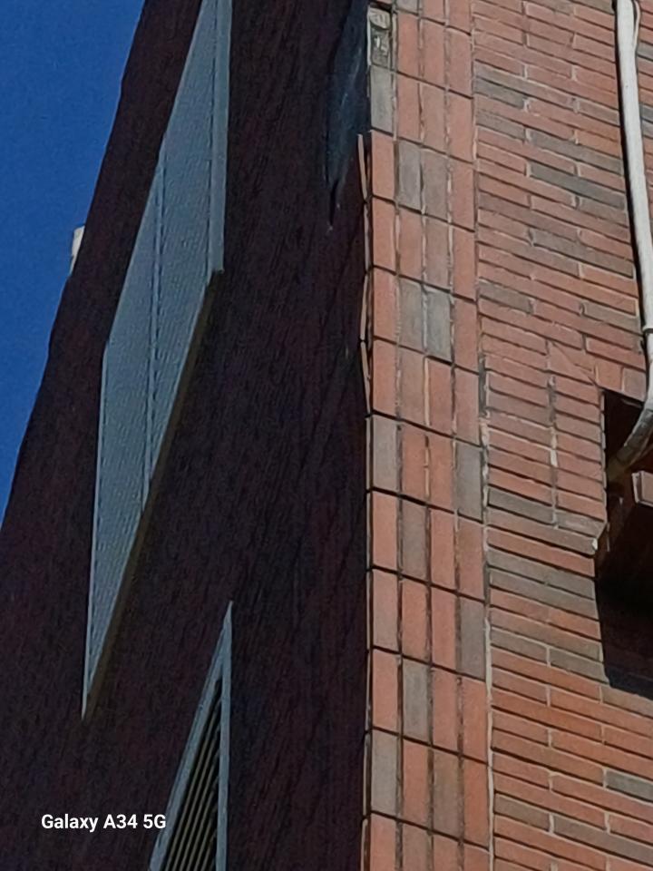 磁磚修補案件圖片