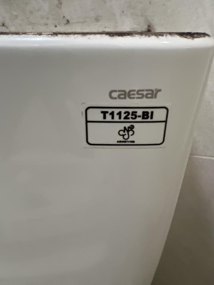馬桶裝修案件圖片
