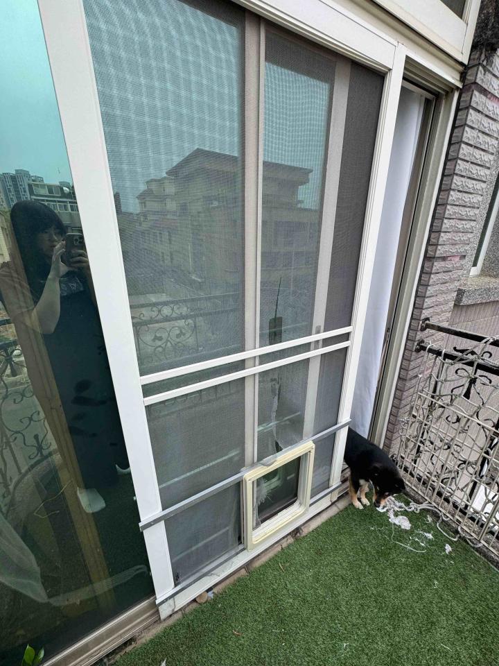 紗窗裝修案件圖片