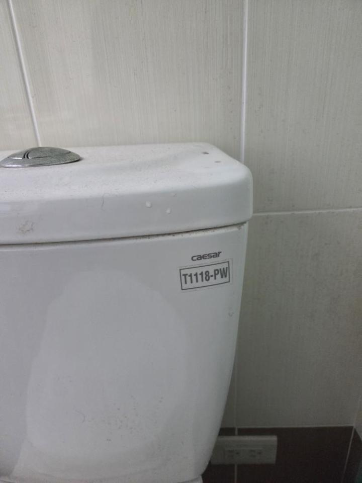 馬桶裝修案件圖片