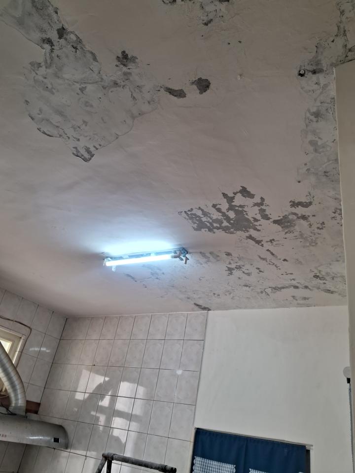 油漆工程案件圖片