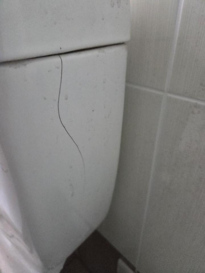 馬桶裝修案件圖片