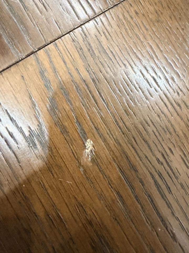 地板維修案件圖片