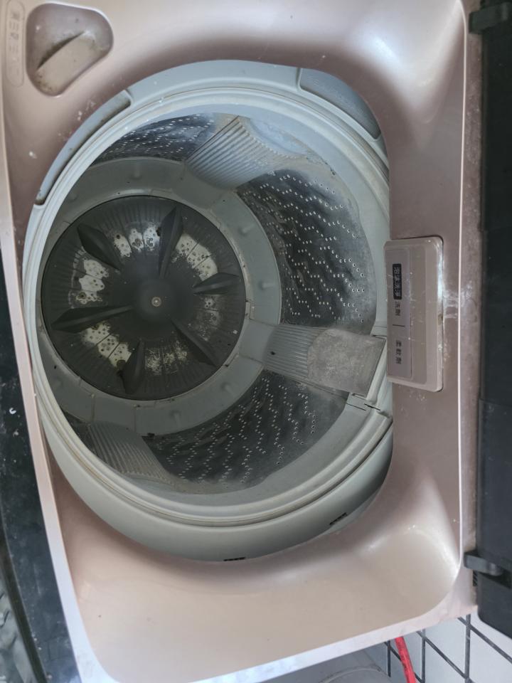 洗衣機清洗案件圖片