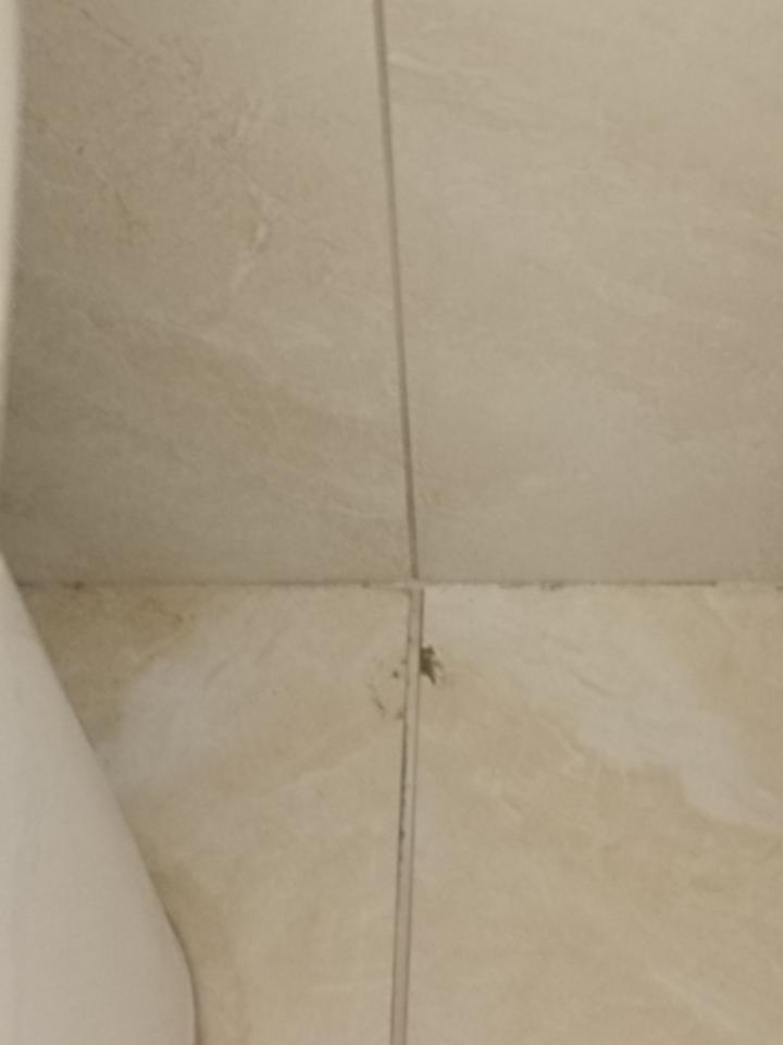 磁磚修補案件圖片