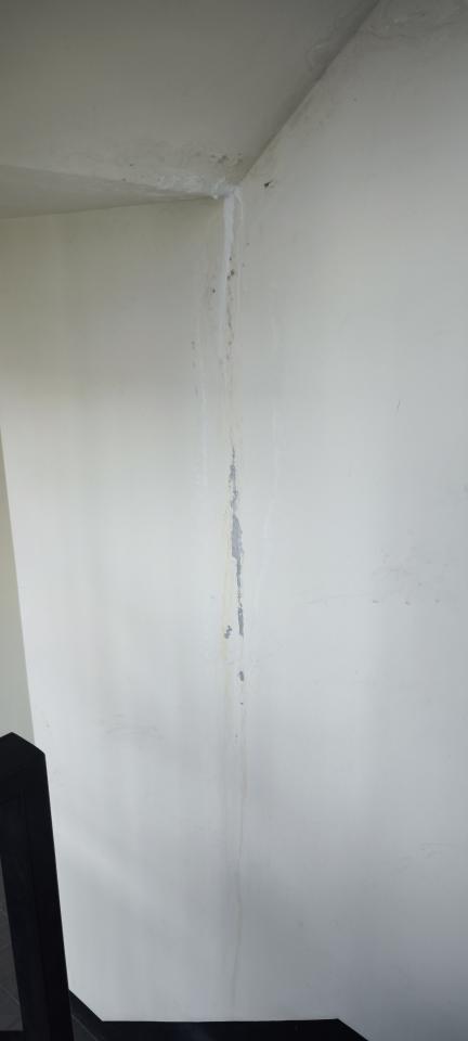 油漆工程案件圖片