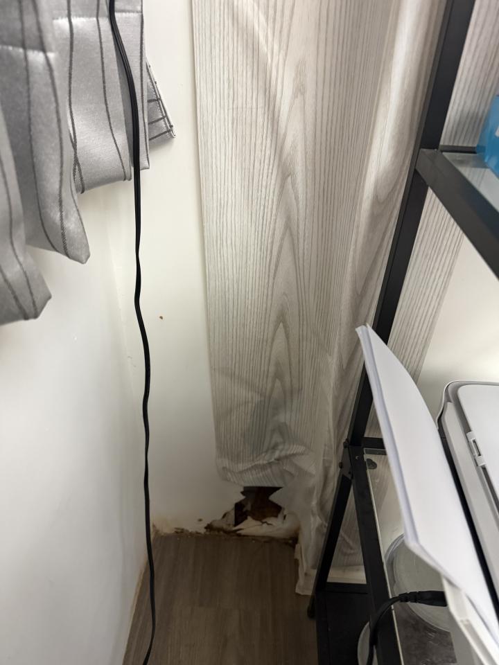 木工施工案件圖片