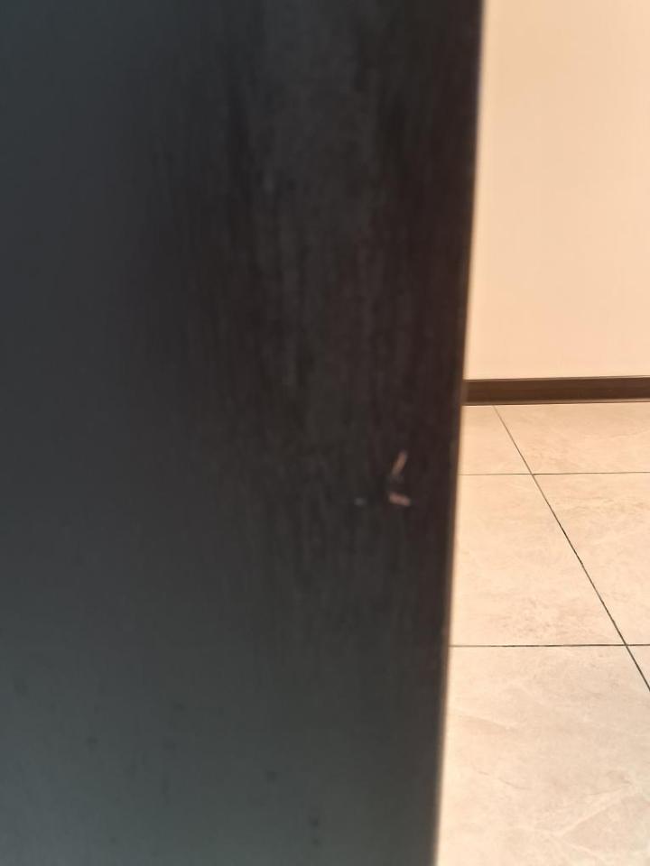 油漆工程案件圖片