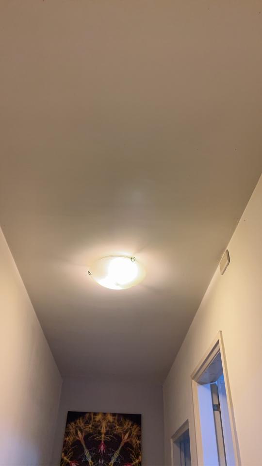 燈具安裝案件圖片