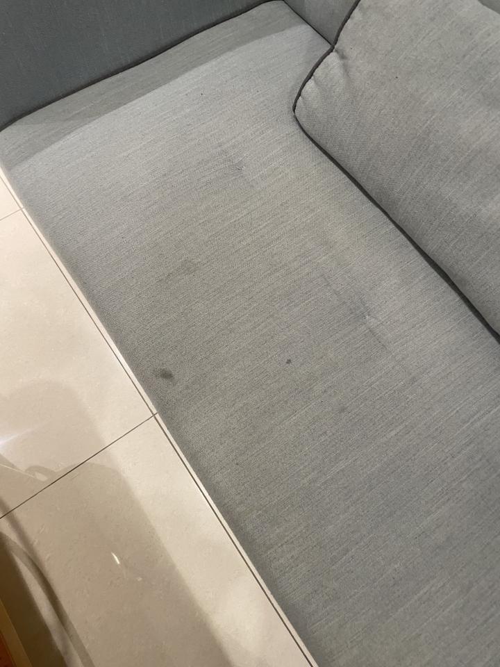 沙發清潔案件圖片