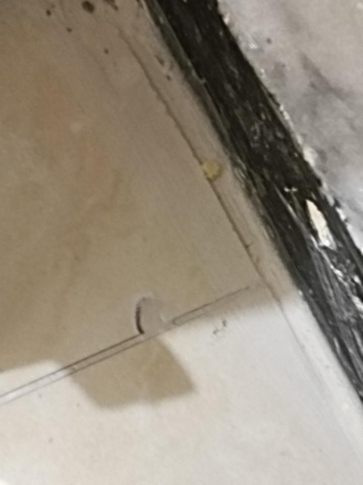 磁磚修補案件圖片