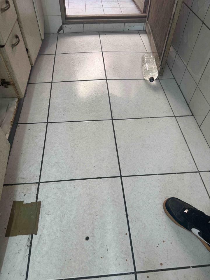 老屋翻新案件圖片