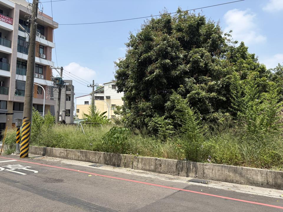 園藝維護案件圖片