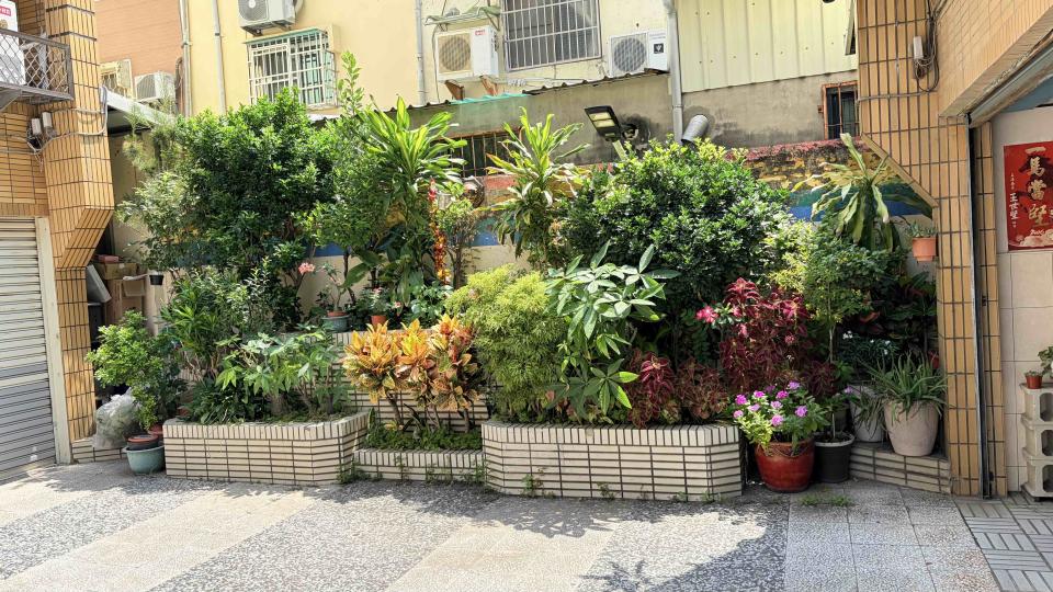 園藝維護案件圖片