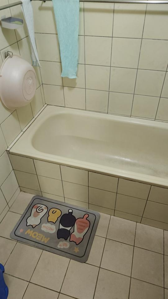 浴室翻新案件圖片