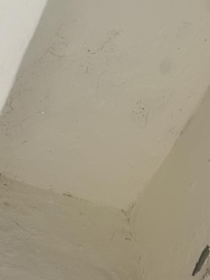漏水處理案件圖片