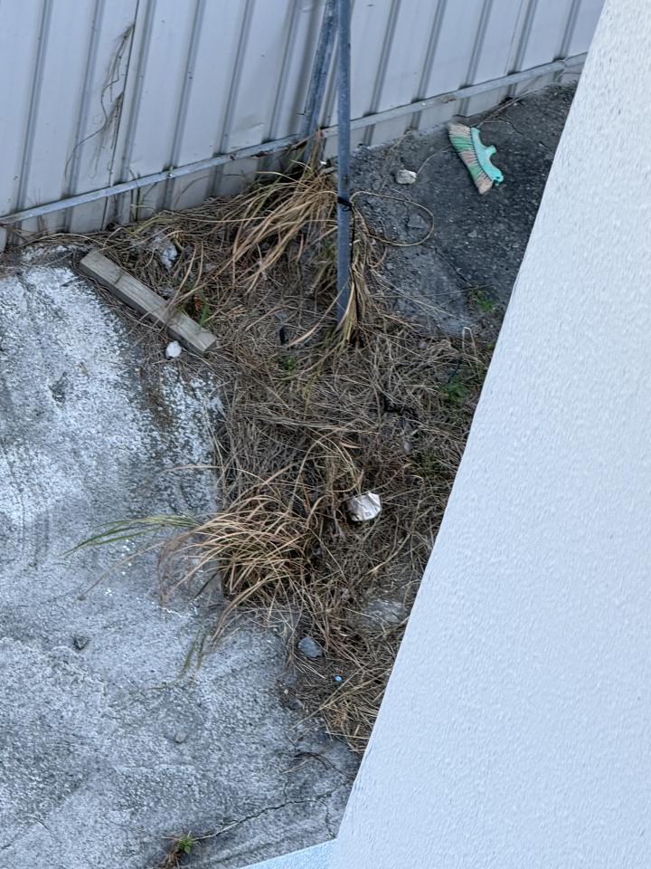 園藝維護案件圖片