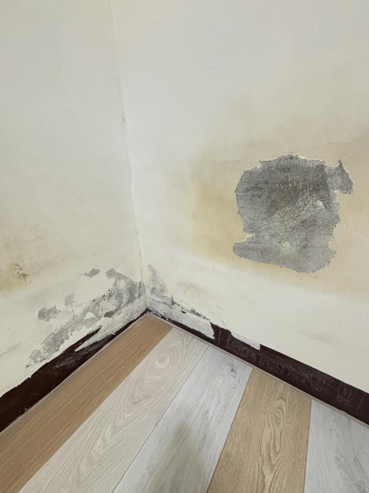 油漆工程案件圖片