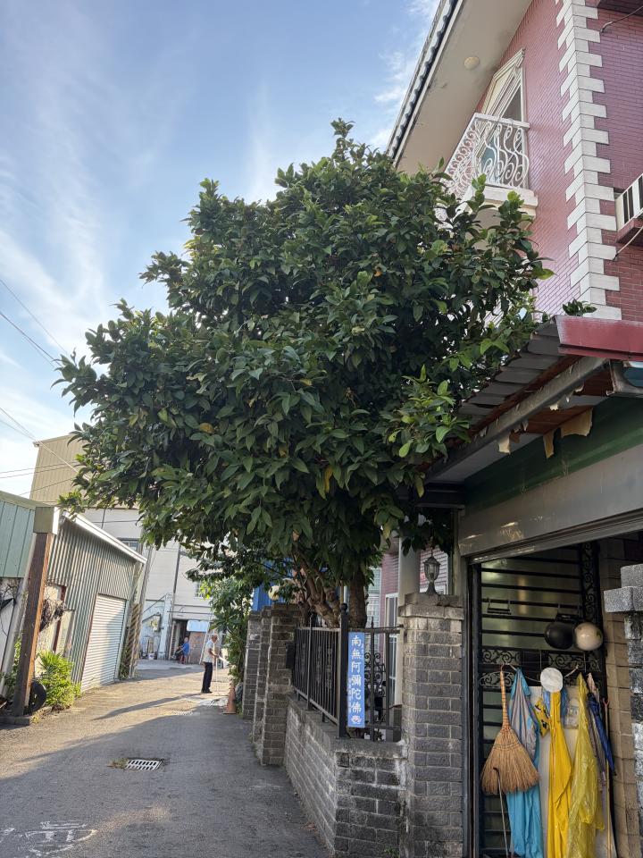 園藝維護案件圖片